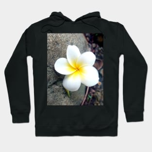 White and yellow plumeria Hoodie